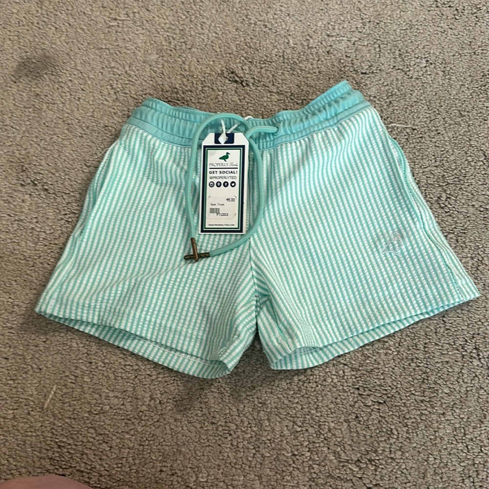 Properly tied seersucker sea green